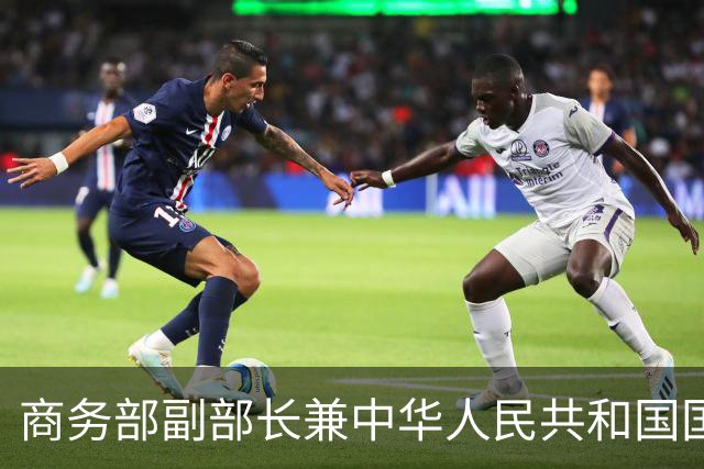 商务部副部长兼中华人民共和国国际贸易谈判副代表凌激会见德国敦豪集团首席执行官麦韬远